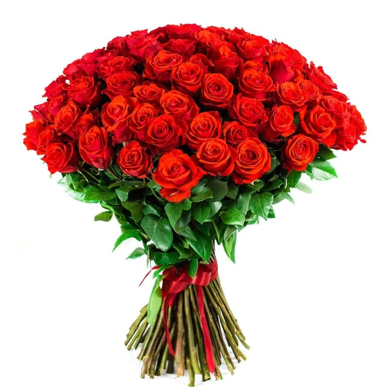 Roter Rosenstrauß von MO BLUMEN mit zahlreichen üppigen Blüten, grünen Blättern und einem roten Band gebunden.